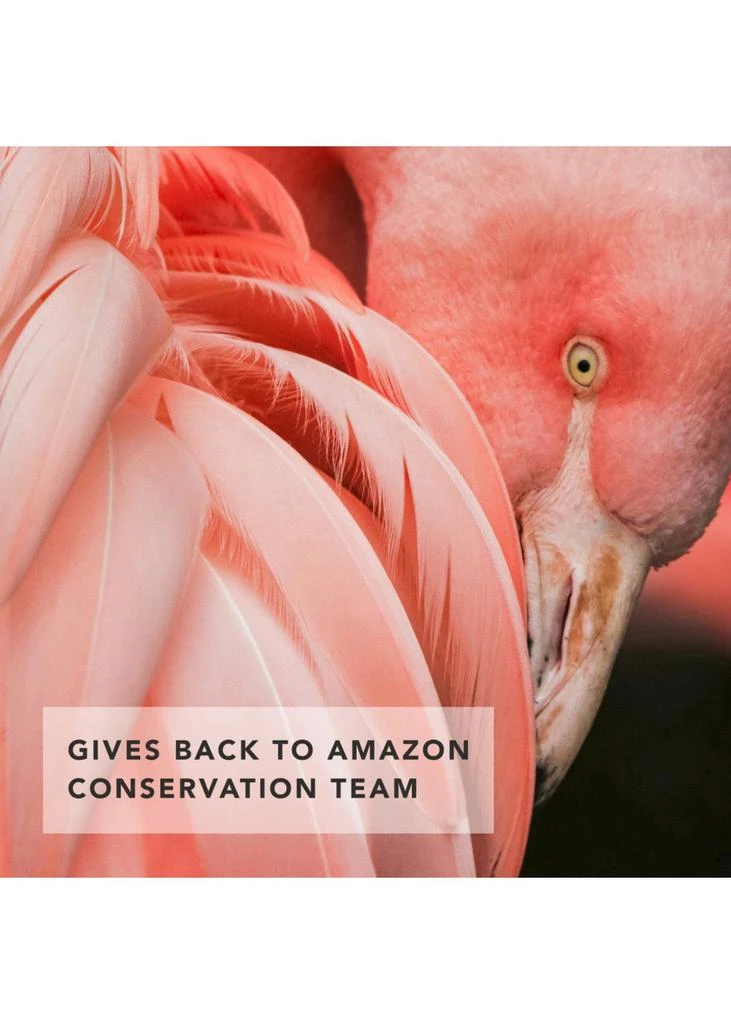 Chantecaille Flamingo Dusk Eye Trio 6