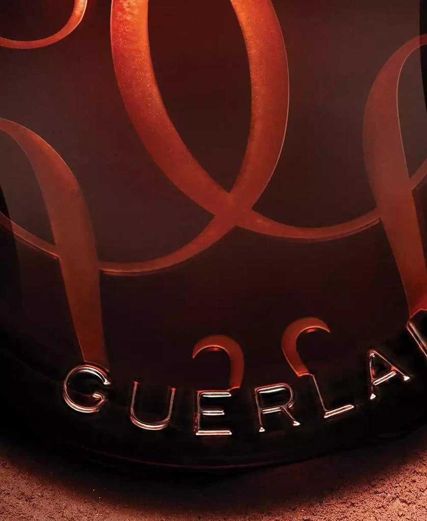 Guerlain Terracotta Sunkissed Natural Bronzer Powder 8