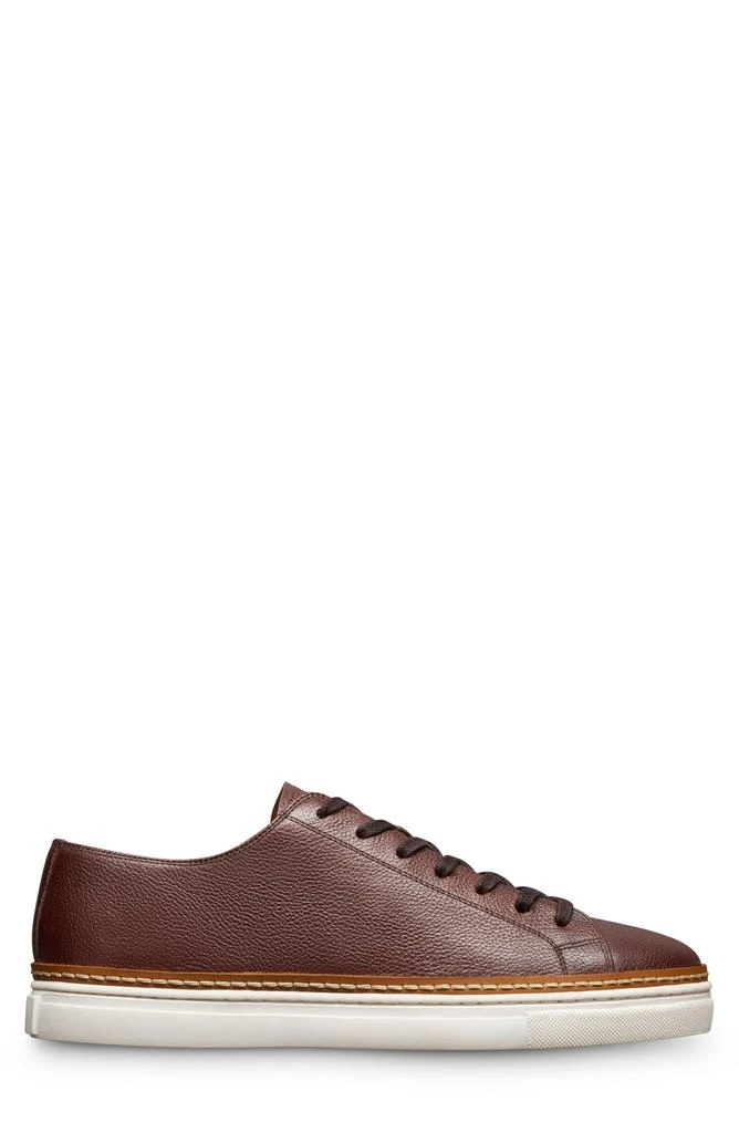 Allen Edmonds Percy Low Top Sneaker 3