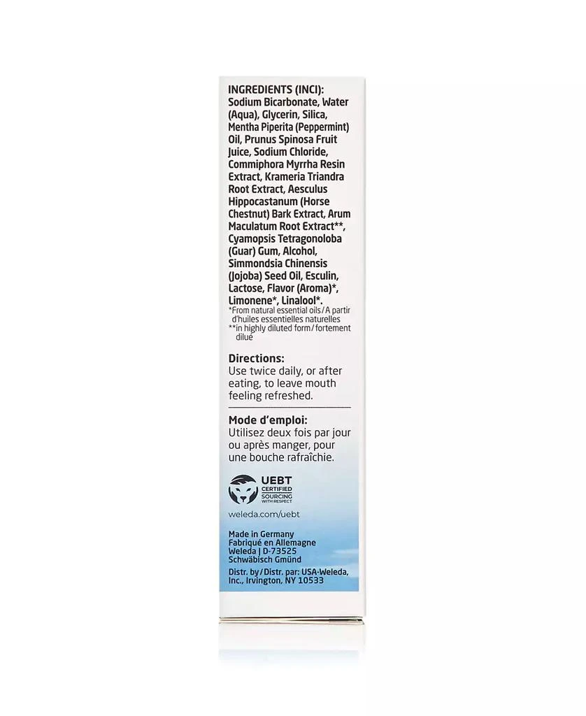 Weleda Salt Toothpaste 4