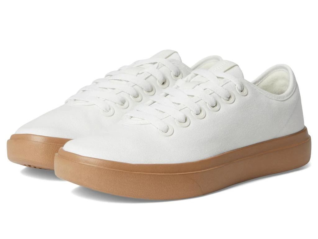 allbirds Canvas Piper