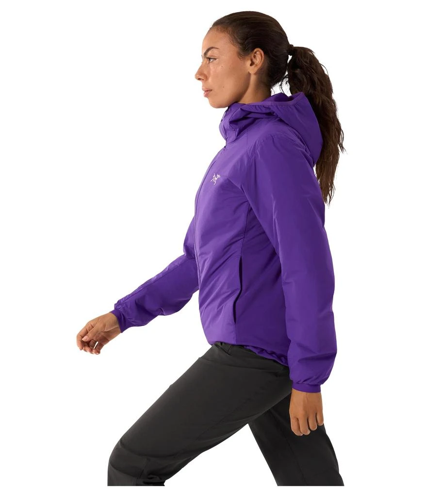 Arc'teryx Atom Hoody 2