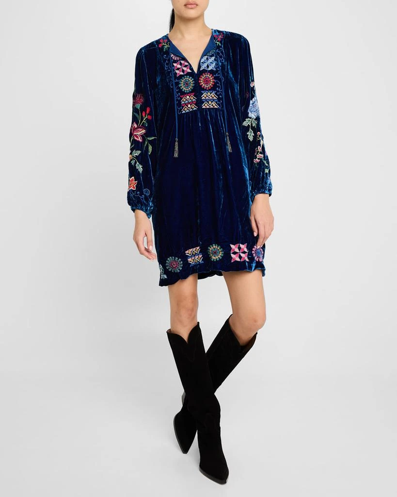 Johnny Was Nikkola Embroidered Velvet Mini Shift Dress 4