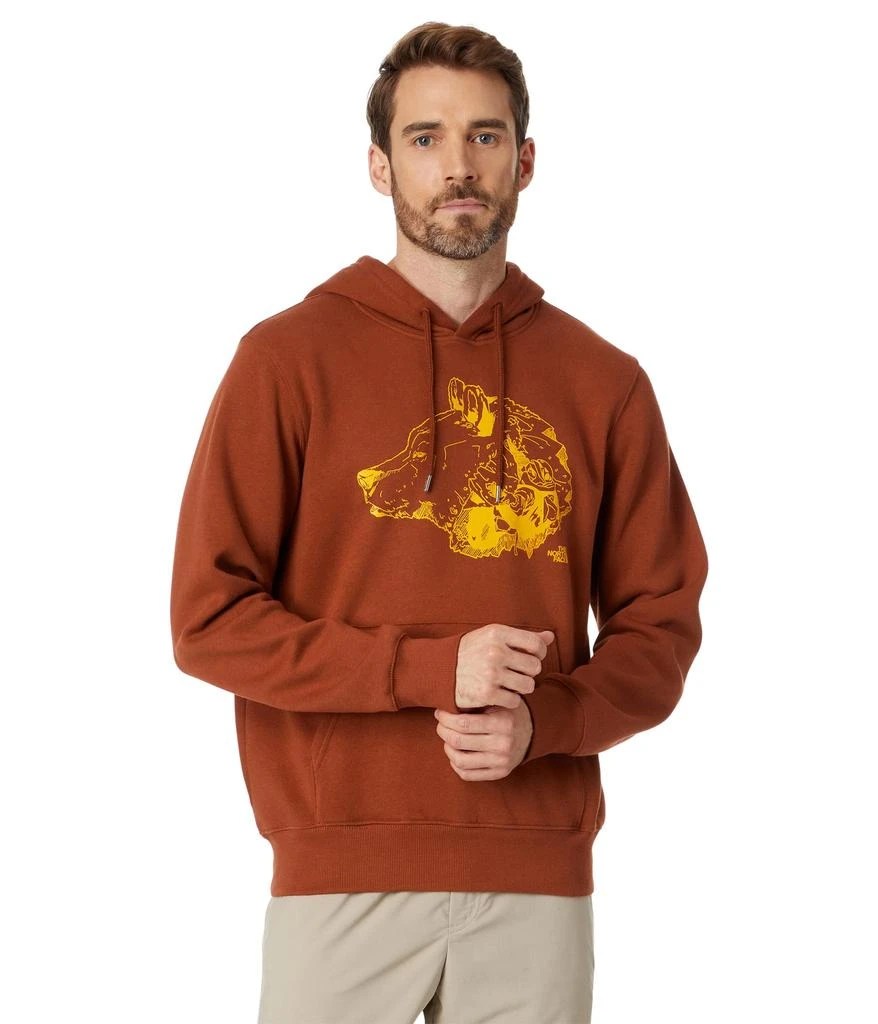 The North Face TNF™ Bear Pullover Hoodie 1