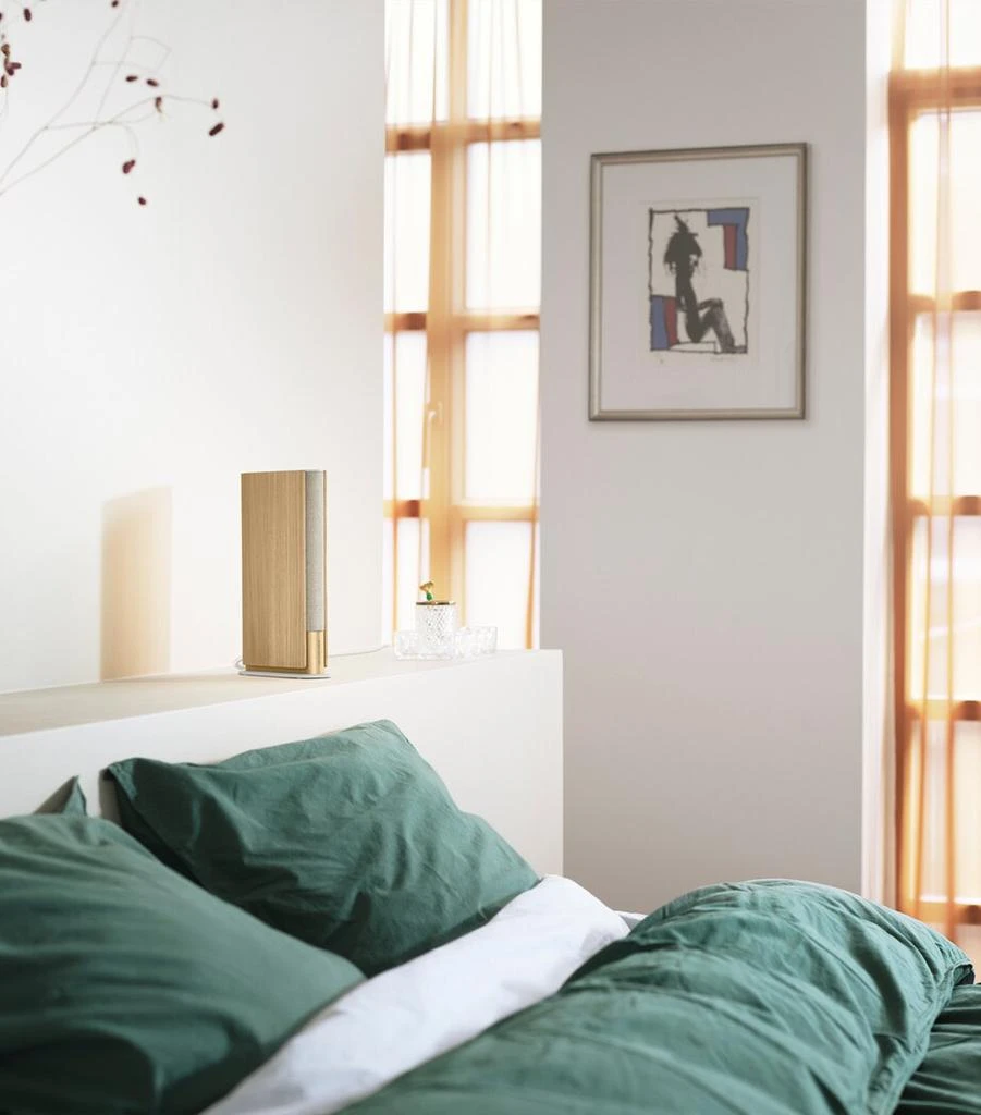 Bang & Olufsen Beosound Emerge AL2 Speaker 7