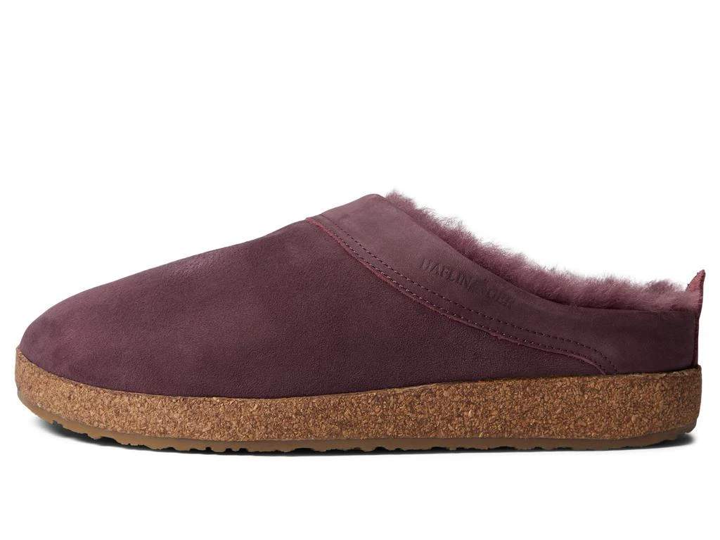 Haflinger Snowbird 4