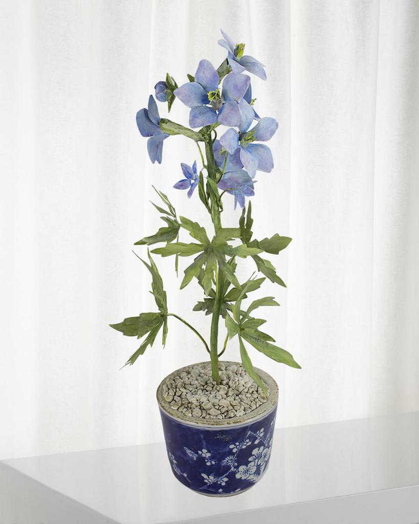 Tommy Mitchell Delphinium July Birth Flower in Ceramic Pot