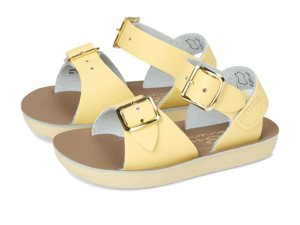Salt Water Sandal by Hoy Shoes Surfer (Infant/Toddler) 1