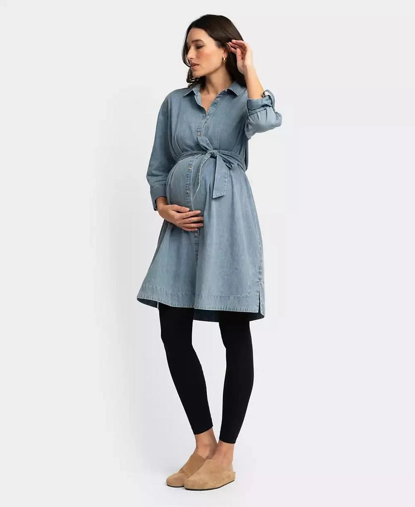 Seraphine Women's Maternity Chambray Dress 6