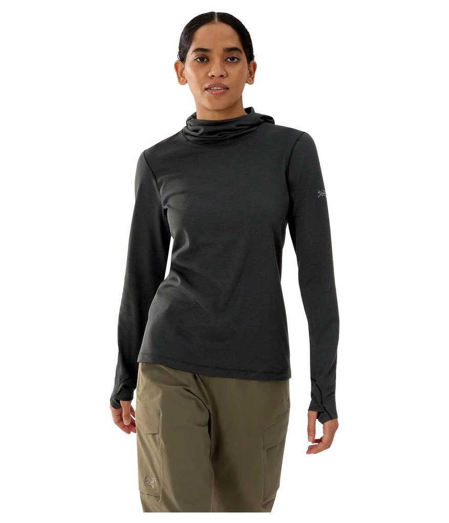 Arc'teryx Taema Thermal Hoodie