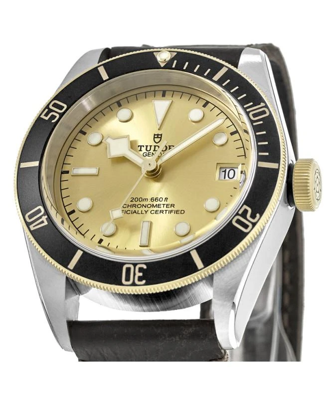 Tudor Tudor Black Bay 41 Steel & Gold Champagne Dial Leather Strap Men's Watch M79733N-0003 2