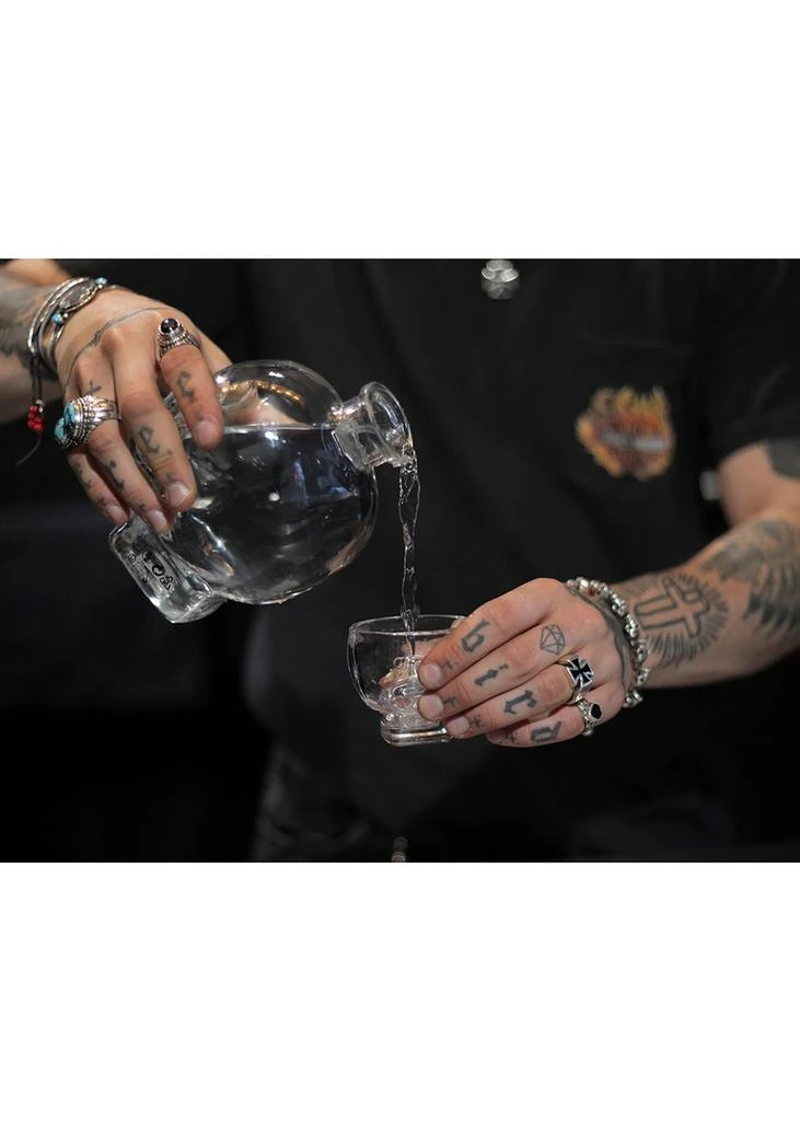 CRYSTAL HEAD VODKA Vodka 5