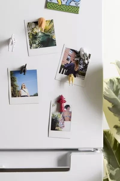 Urban Outfitters Animal Butt Magnet Set 1