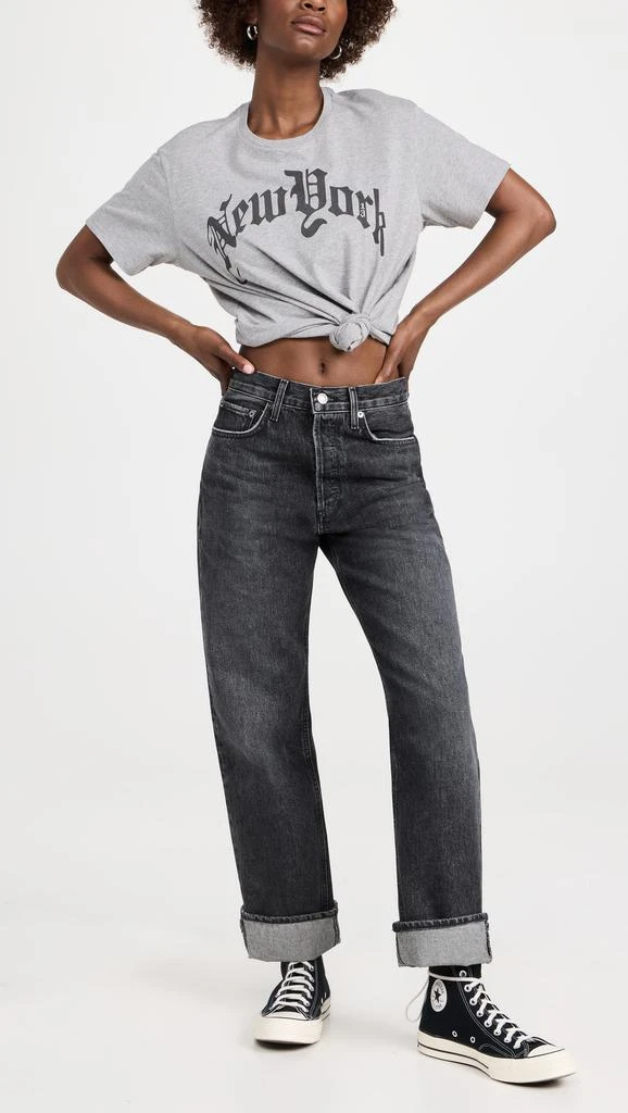 AGOLDE Fran Low Hung Straight jeans 3