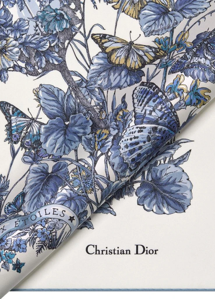 Dior Square 90 Butterfly Around The World 1