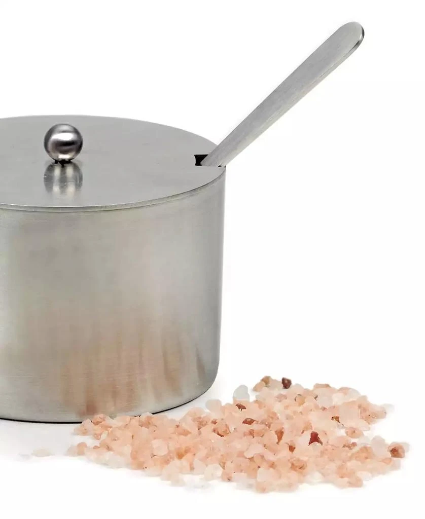 RSVP International Endurance Stainless Steel 4 Ounce Salt Cellar and Spoon Set 5