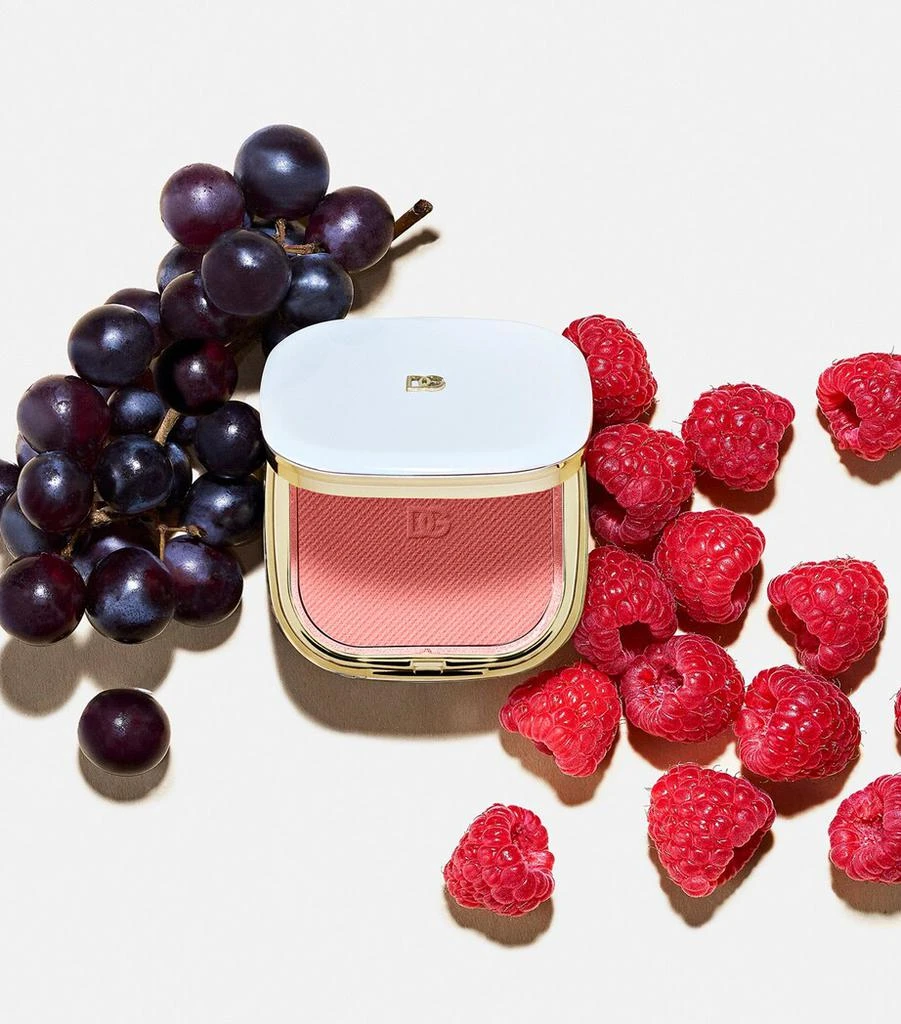 Dolce & Gabbana Cheek & Eyes Match Lasting Blush and Eyeshadow Powder 4