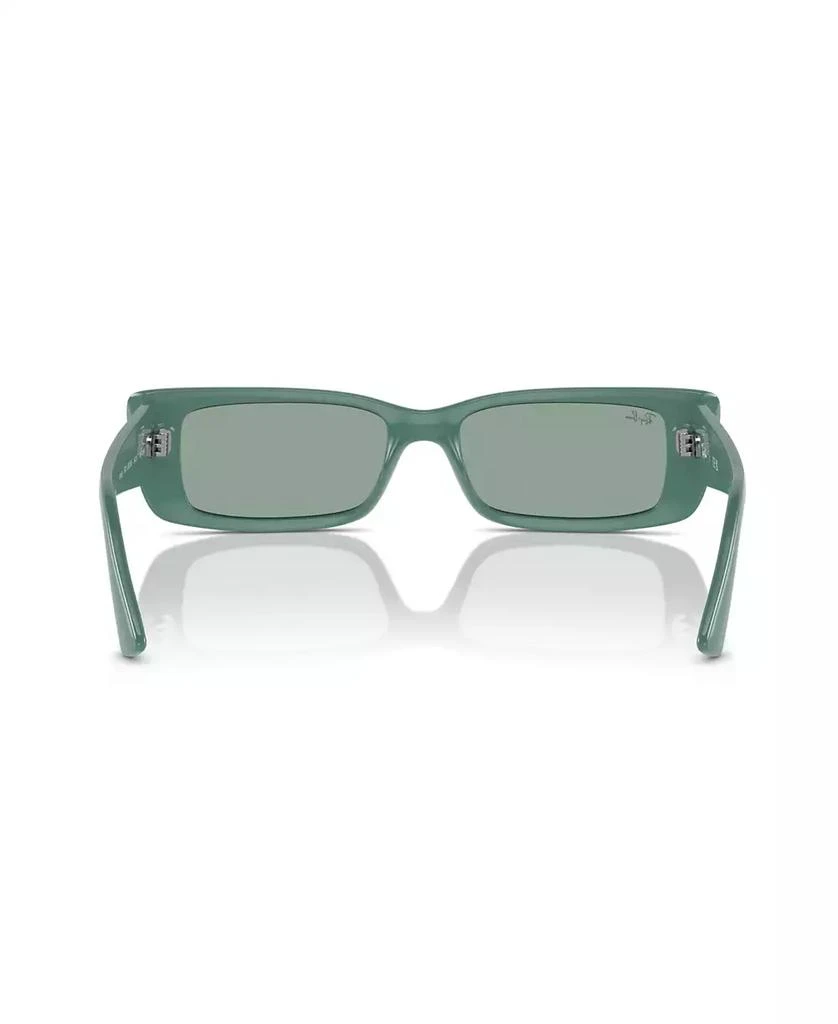 Ray-Ban Unisex Teru Sunglasses, RB4425 3