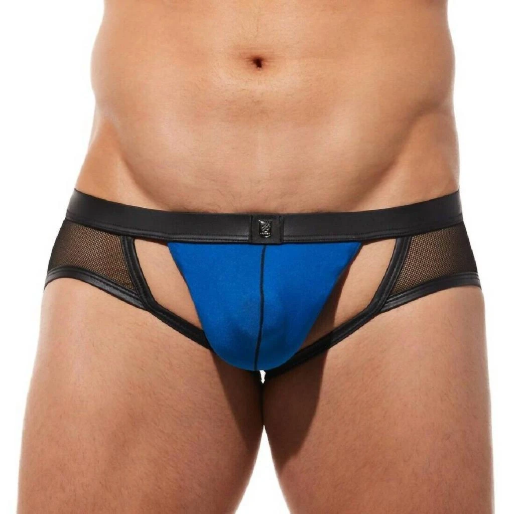 Gregg Homme Ring My Bell Brief 1
