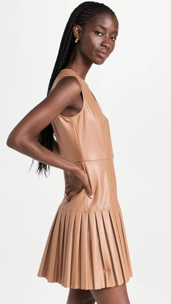 Shoshanna Tae Dress 3