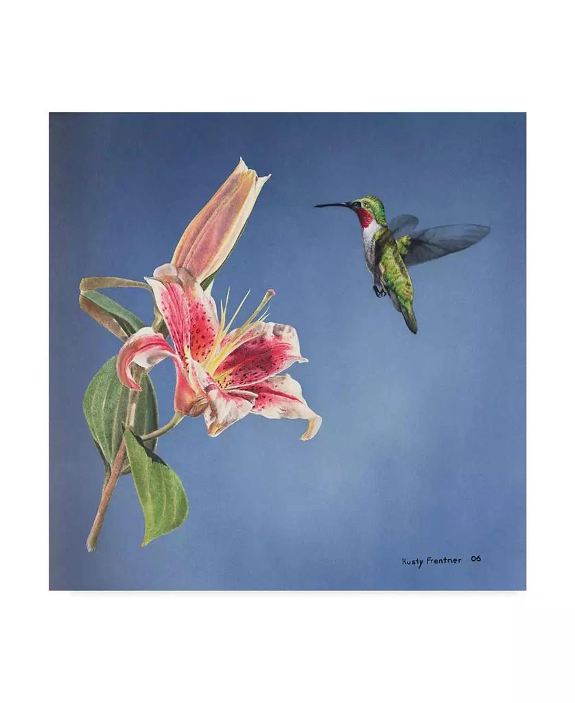 Trademark Global Rusty Frentner 
Hummingbird And Lily
 Canvas Art - 14" x 14"