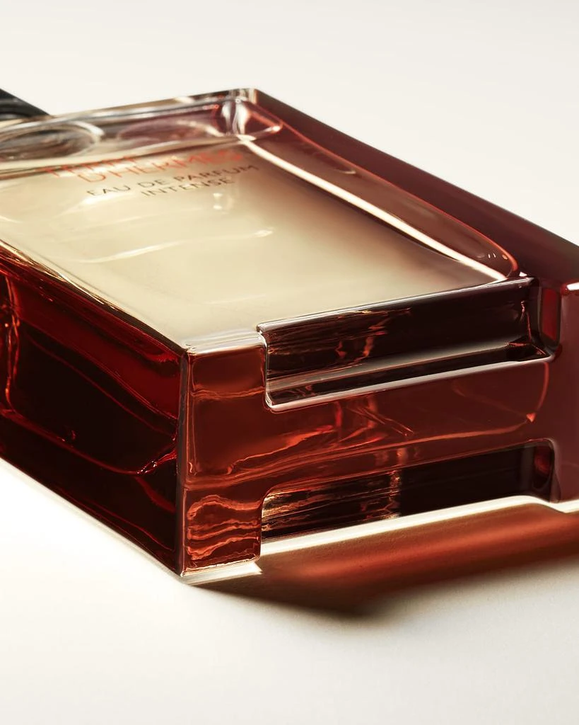 Hermes Terre d'Hermes Eau de Parfum Intense, 3.4 oz. 4