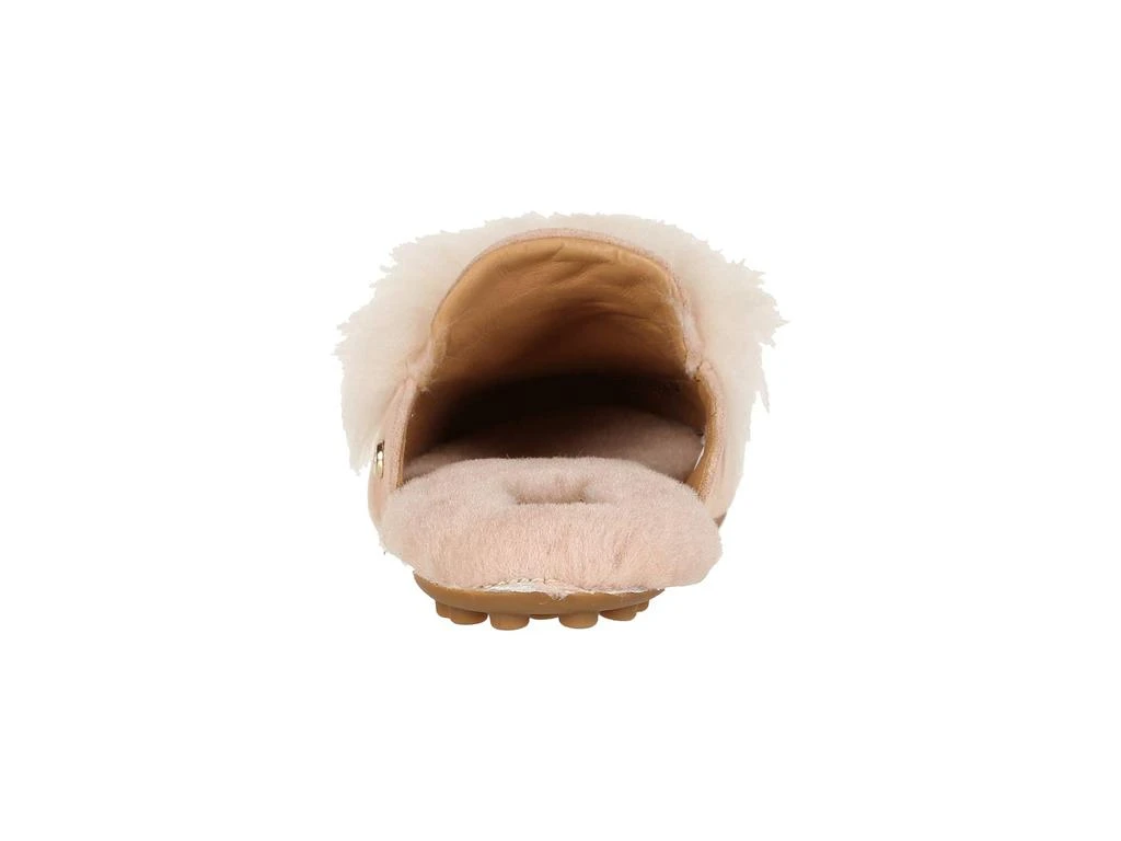 UGG Shaine Wisp 5
