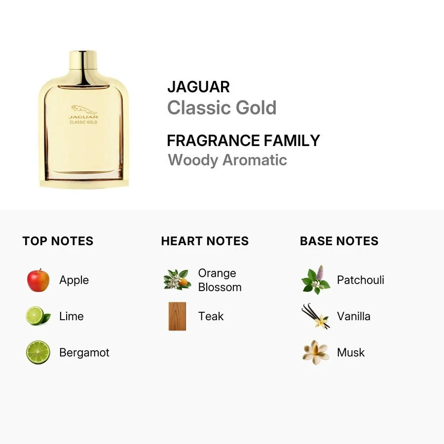 JAGUAR Jaguar Classic Gold Mens EDT 3
