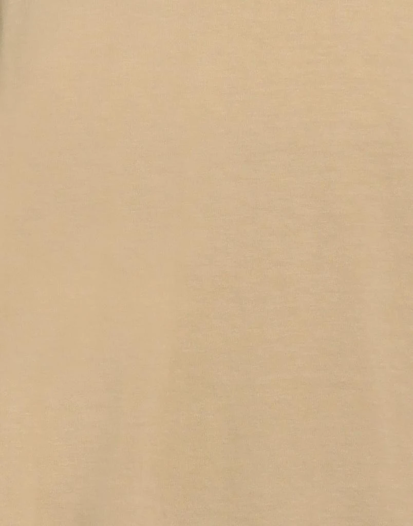 irish crone Basic T-shirt 4