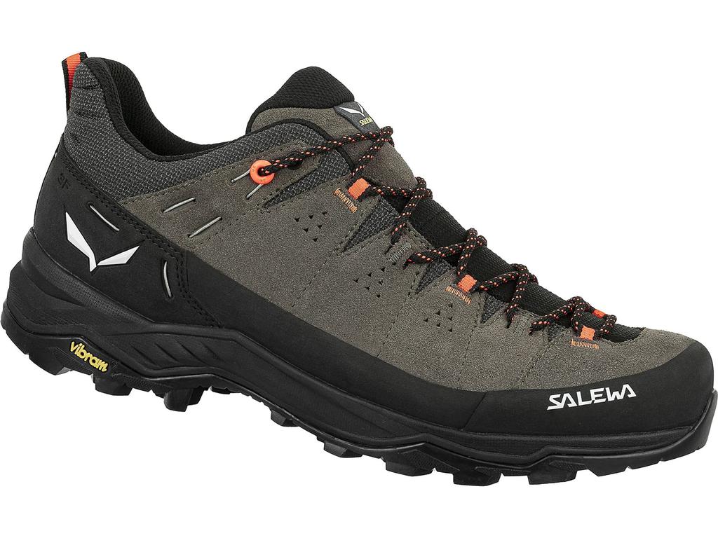 Salewa Alp Trainer 2