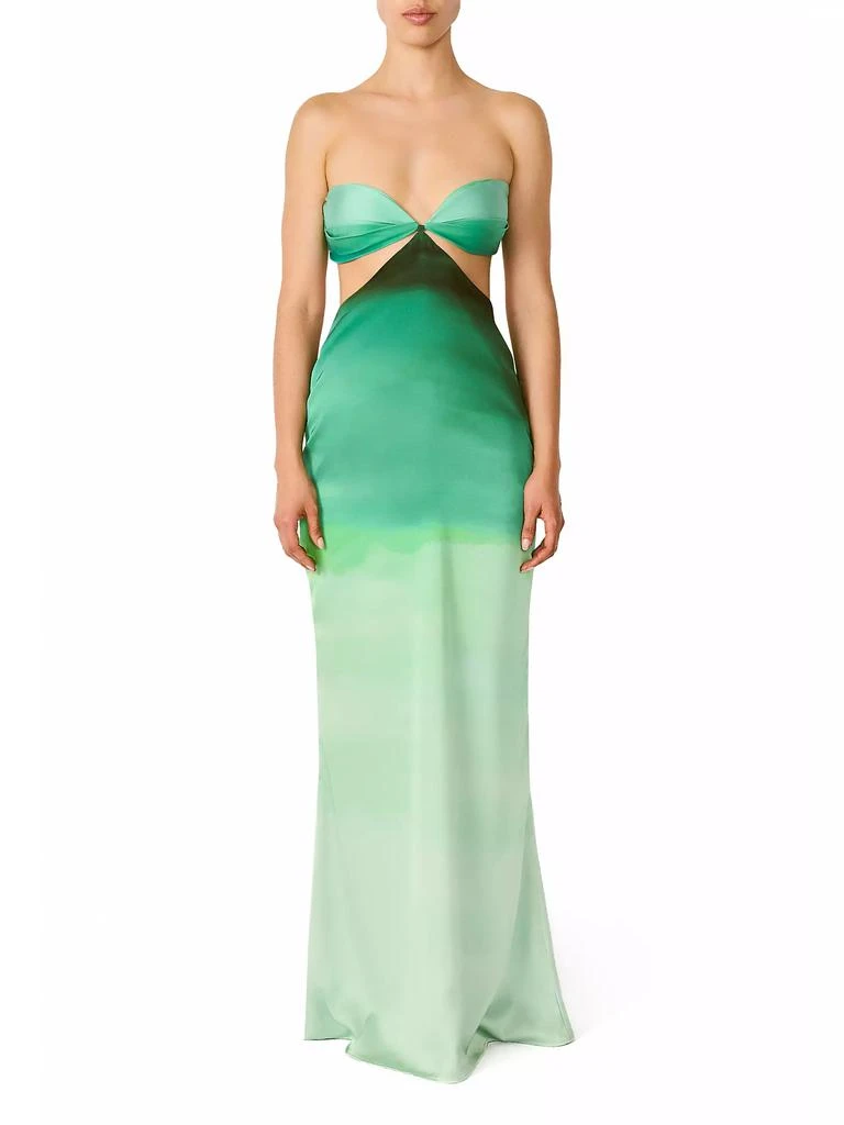 Baobab Islote Riri Ombré Strapless Maxi Dress 1