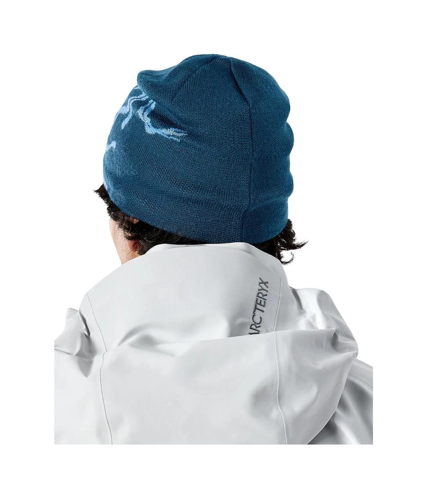 Arc'teryx Bird Head Toque 3