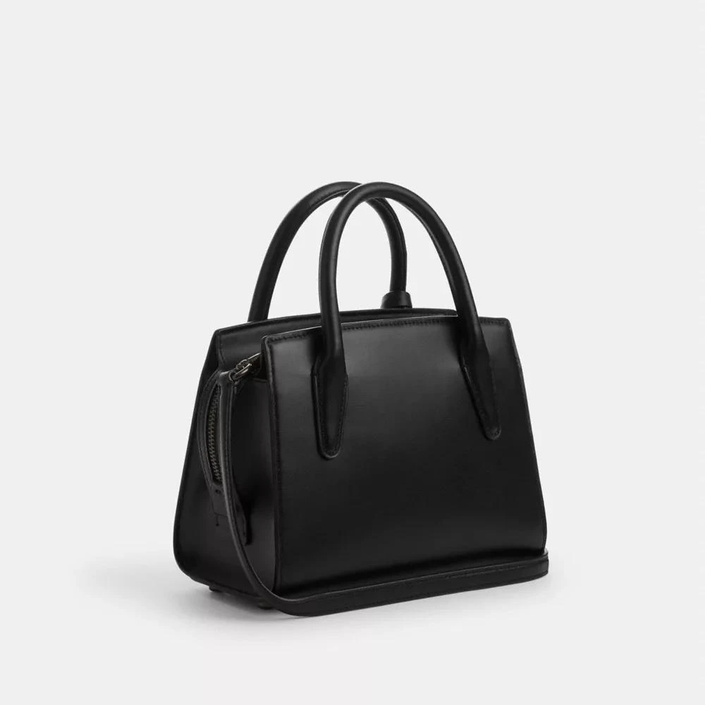 Coach Andrea Carryall Bag 6
