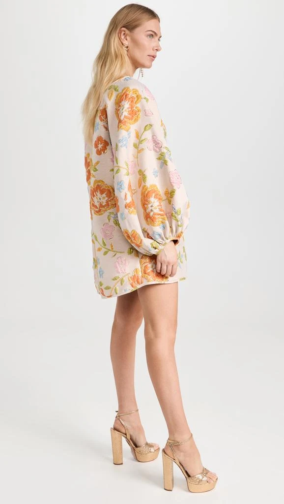 Arianne Elmy Refresh Good Luck Dress 4