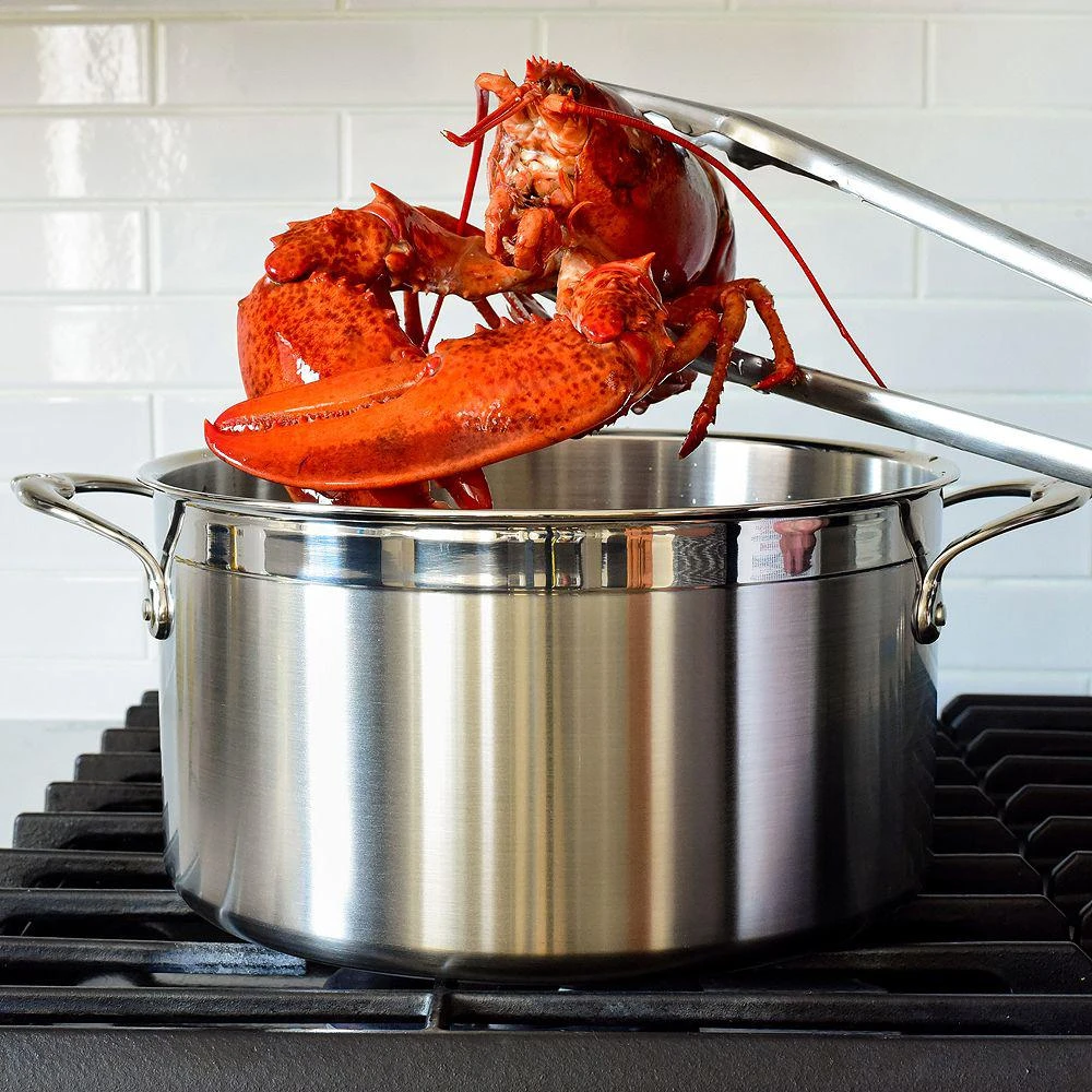 Hestan ProBond™ 8 Quart Forged Stainless Steel  Stock Pot with Lid 3