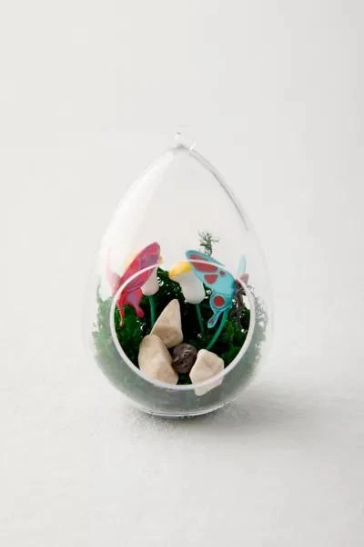 Urban Outfitters Mini Fairy Terrarium By Eugene Fletcher 1