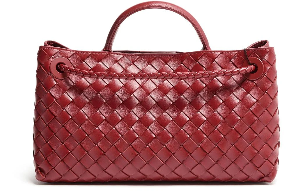 Bottega Veneta Small Andiamo East-West bag 4