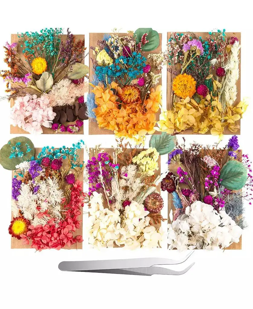 GNUADZ 200 Dried Pressed Flowers Leaves Real Mixed Tweezers DIY Candle Soap Vase Card Scrapbook Art Craft Decor