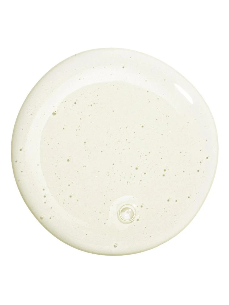 Sisley Hair Rituel Gentle Purifying Shampoo 3