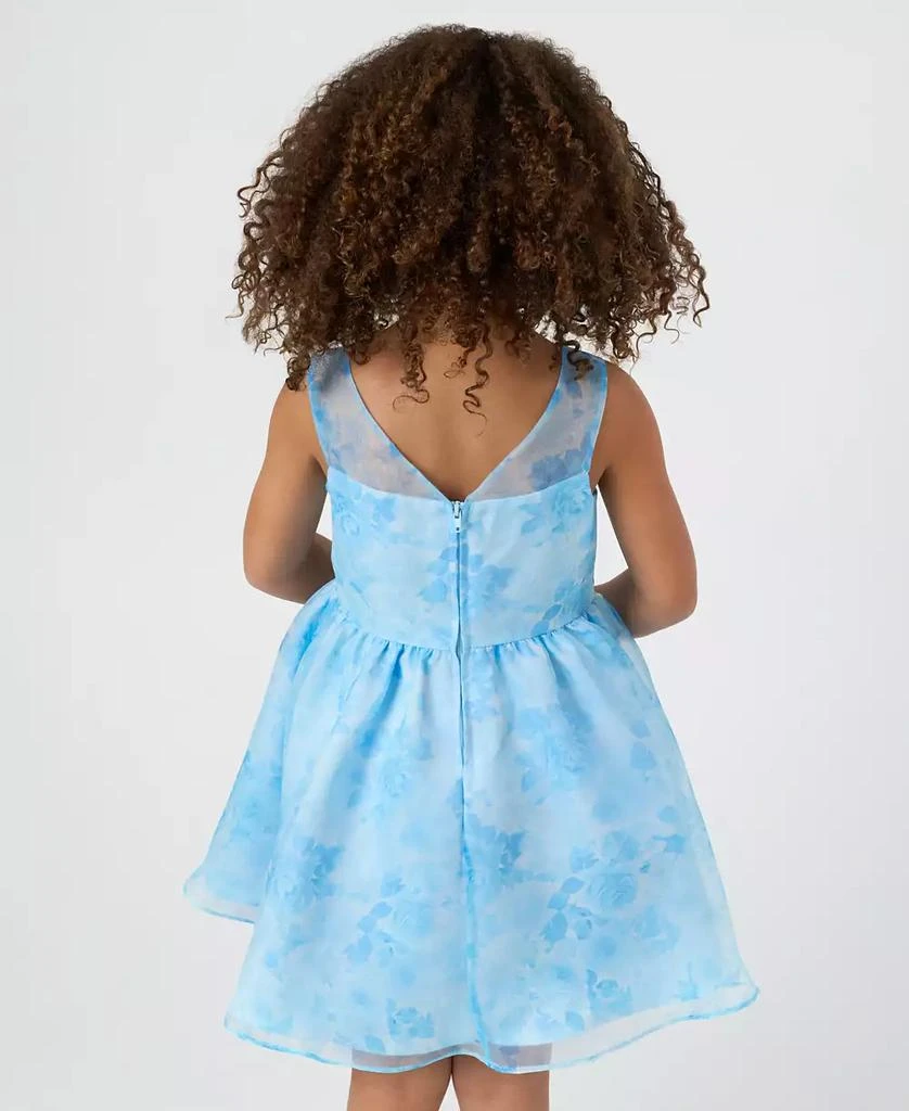 Rare Editions Toddler and Little Girls Floral Organza Social Dress 3