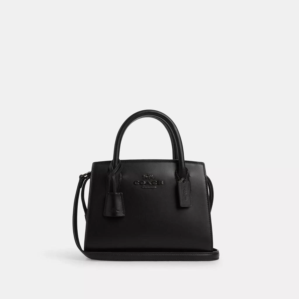 Coach Andrea Carryall 1