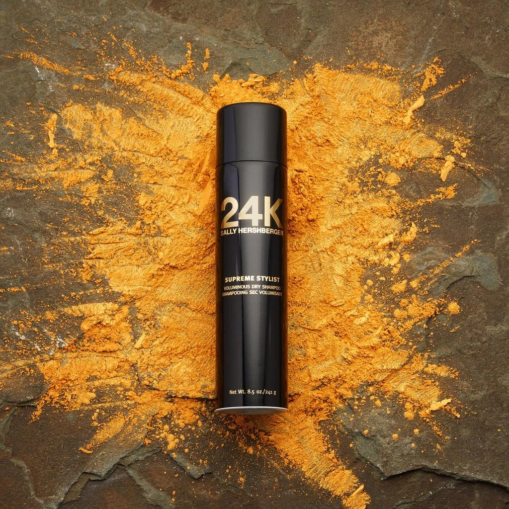 Sally Hershberger 24K Supreme Stylist Voluminous Dry Shampoo by  for Unisex - 8.5 oz Dry Shampoo 3