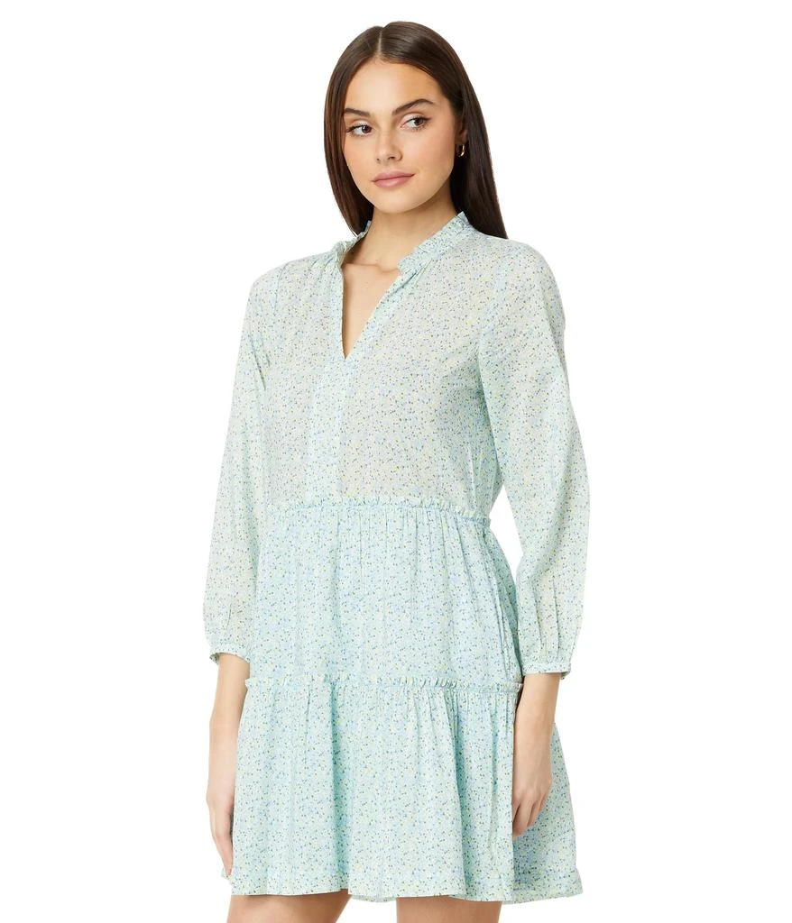 Vineyard Vines Floral Tiered Dress 1