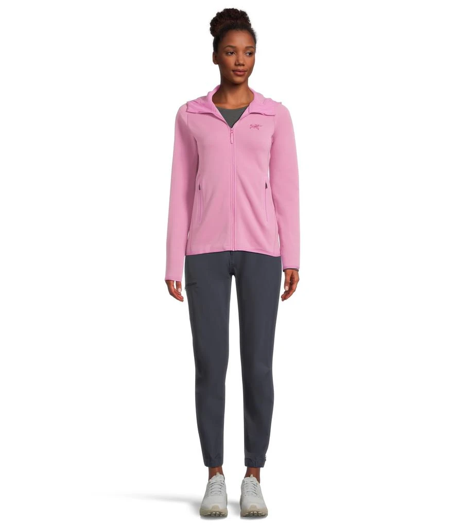 Arc'teryx Kyanite Hoodie 5