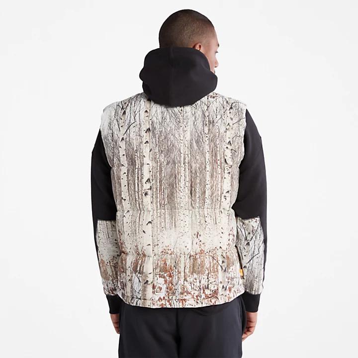 Timberland Graphic Gilet for Men in Beige