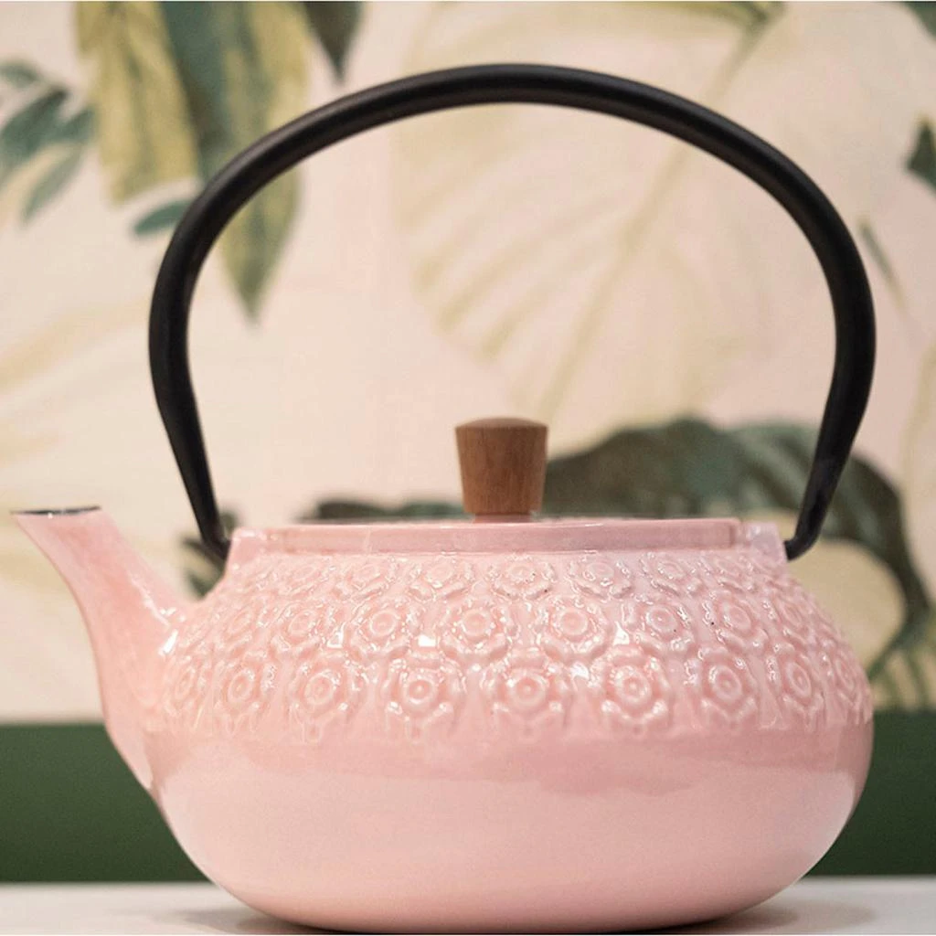 Minimal Minimal Enameled Cast Iron Teapot - Sakura 6