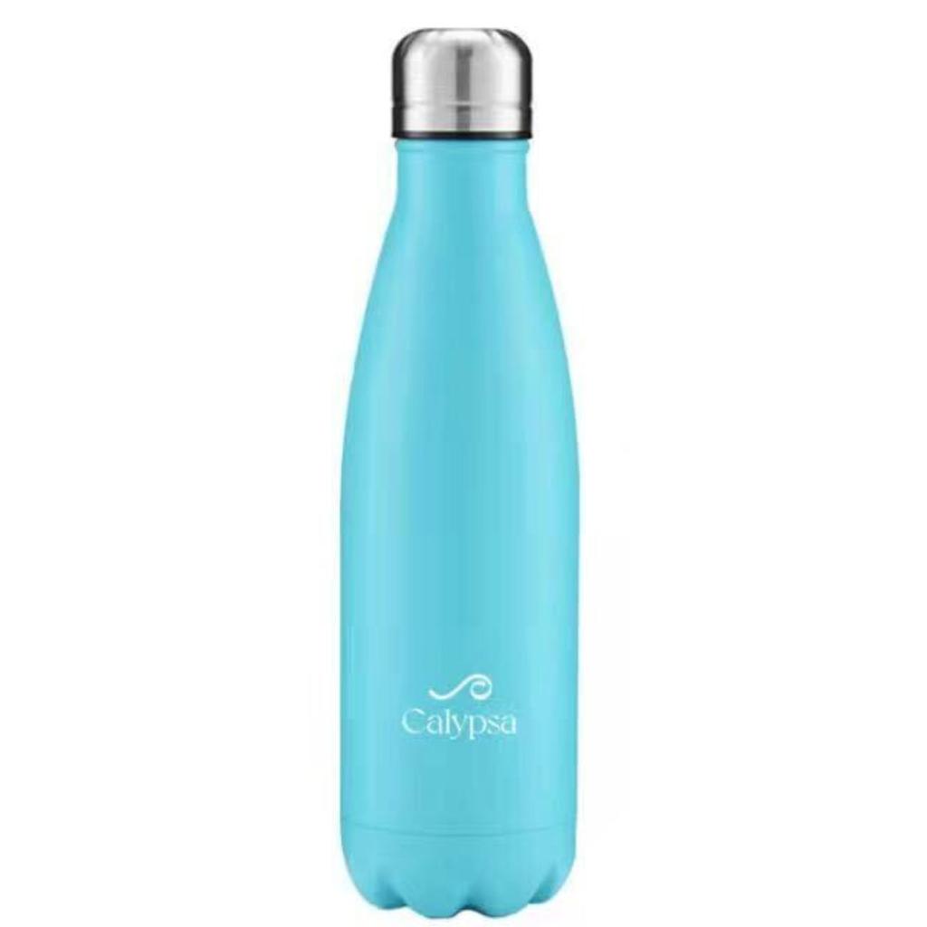 Calypsa Stainless Steel Water Bottle - 17oz