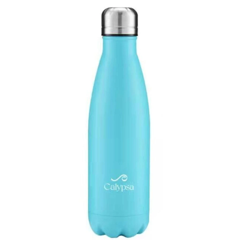 Calypsa Stainless Steel Water Bottle - 17oz 1