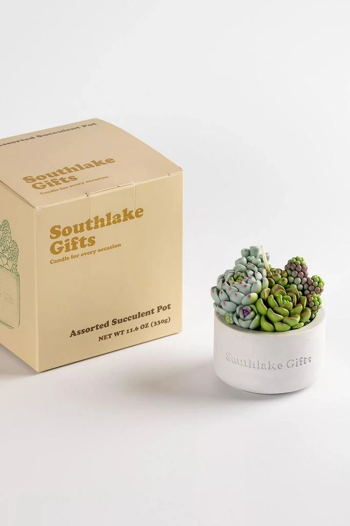 Southlake Gifts Southlake Gifts Assorted Succulent Candle 5