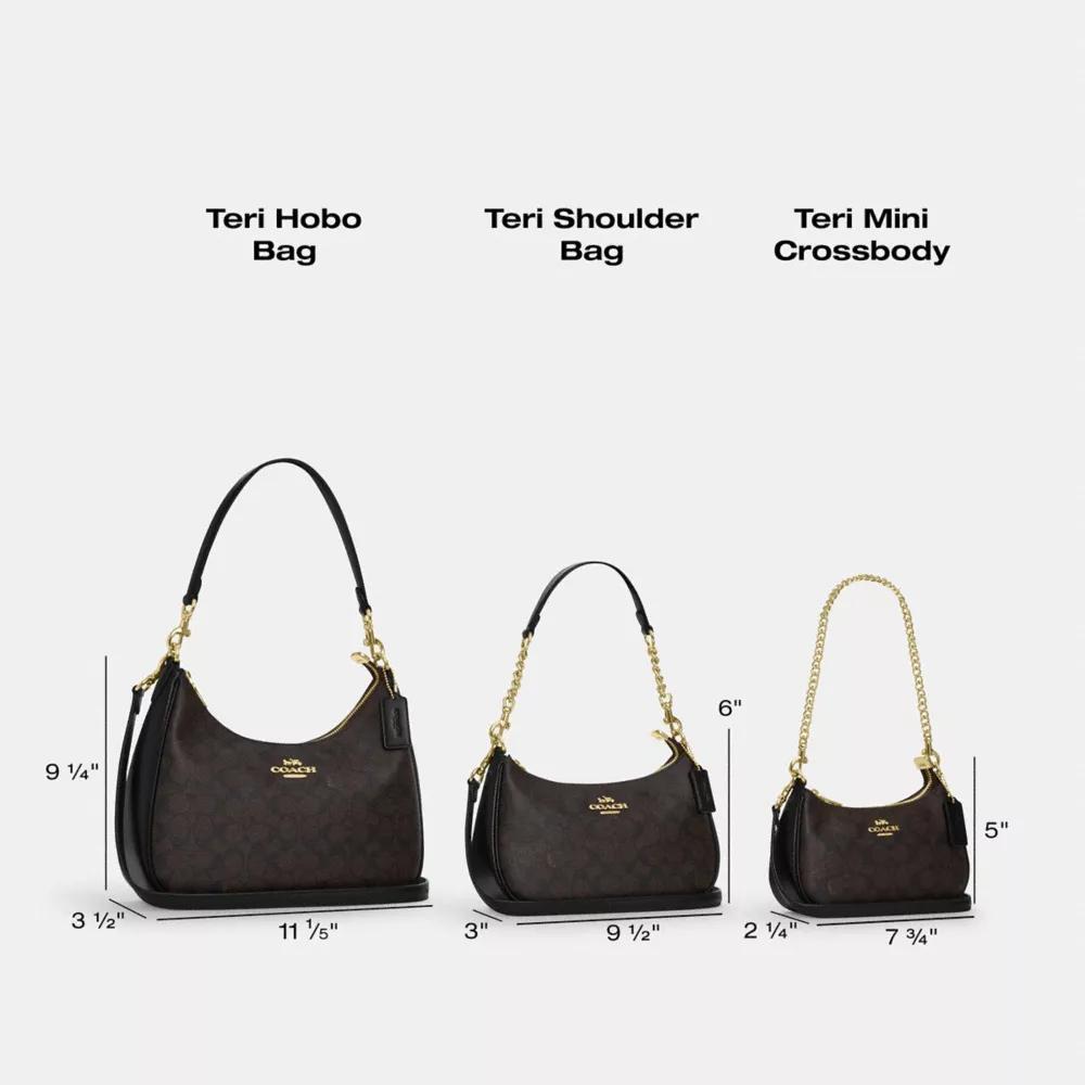 Coach Teri Shoulder Bag In Signature Canvas With Stripe